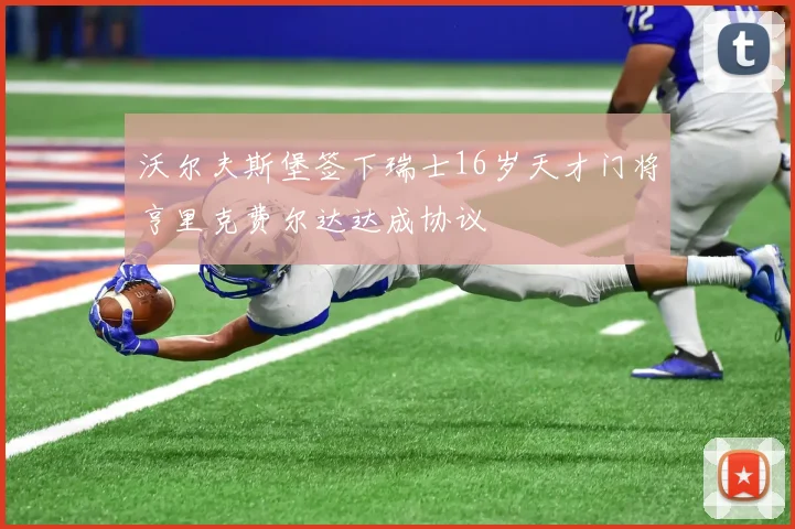 沃尔夫斯堡签下瑞士16岁天才门将亨里克费尔达达成协议